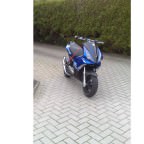 lieber so verkaufen oder schlachten wo bei bekommt man mehr geld