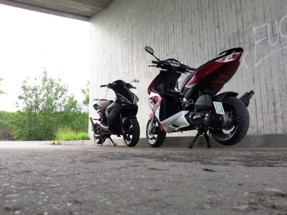 >> Black Vs. Red <<