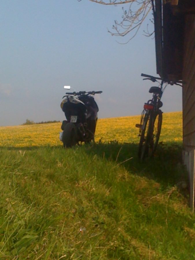 paar neue bilder