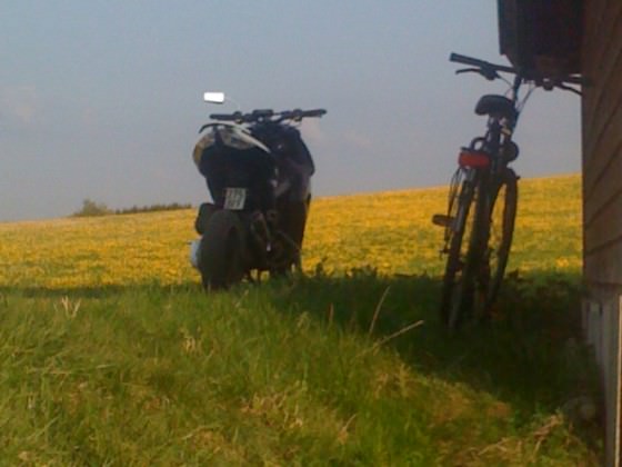 paar neue bilder