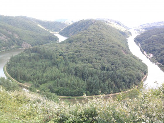 Foto0482