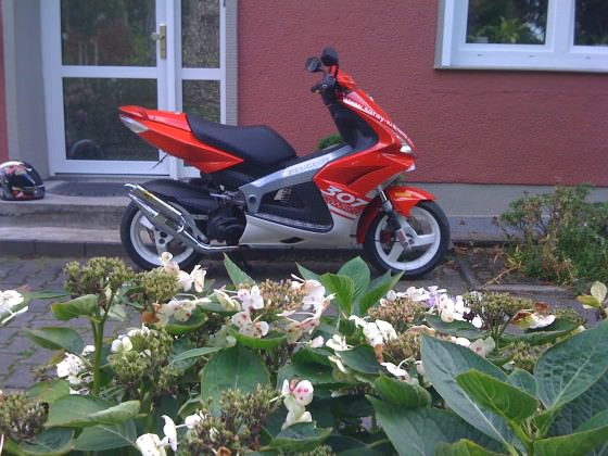LASEEEEEEEEEER ENDLICH DA  !!!!!!!!!!!!!!