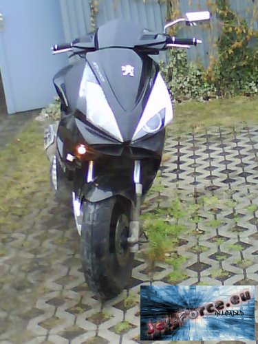 BB Am Roller Unlakiert