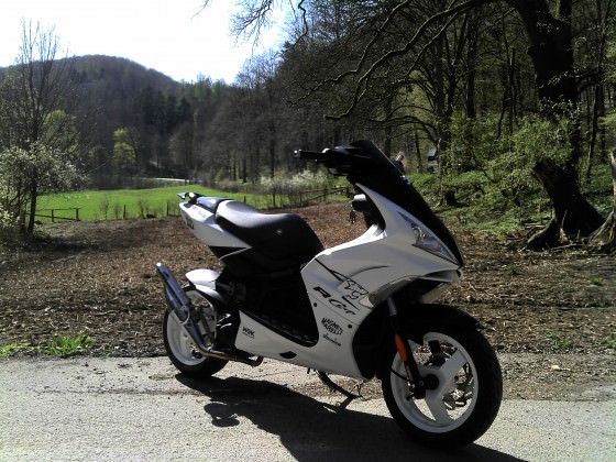 paar bilder