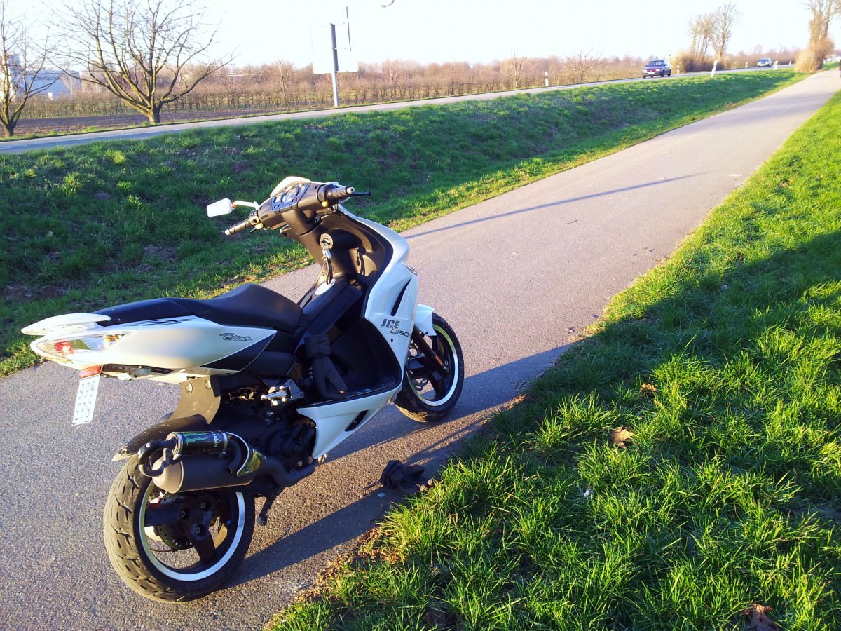 Meiner *__*
