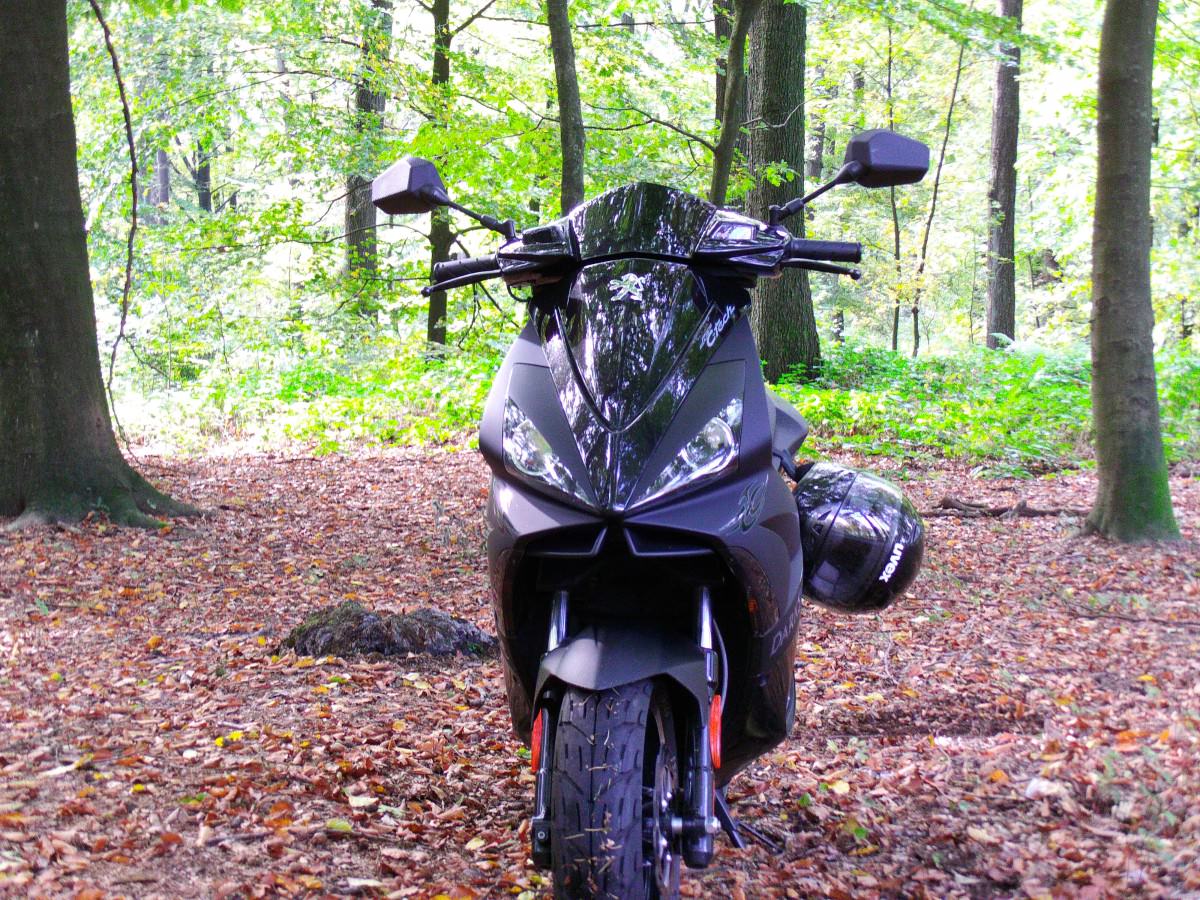 Der Waldmeister