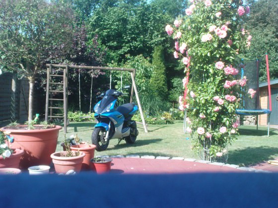 DSC02791
