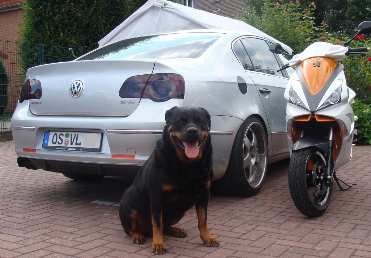 Hallo Jet Freunden
