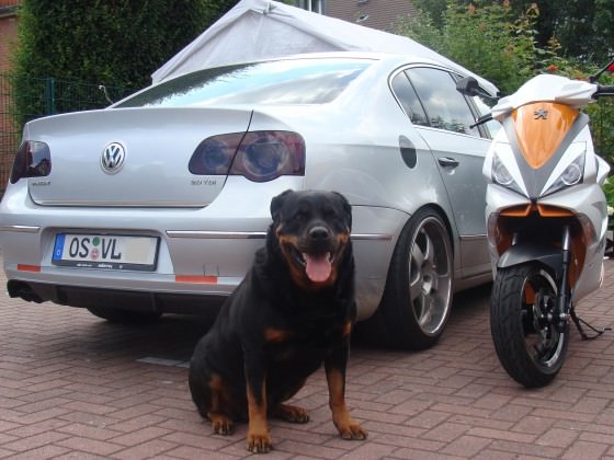 Hallo Jet Freunden