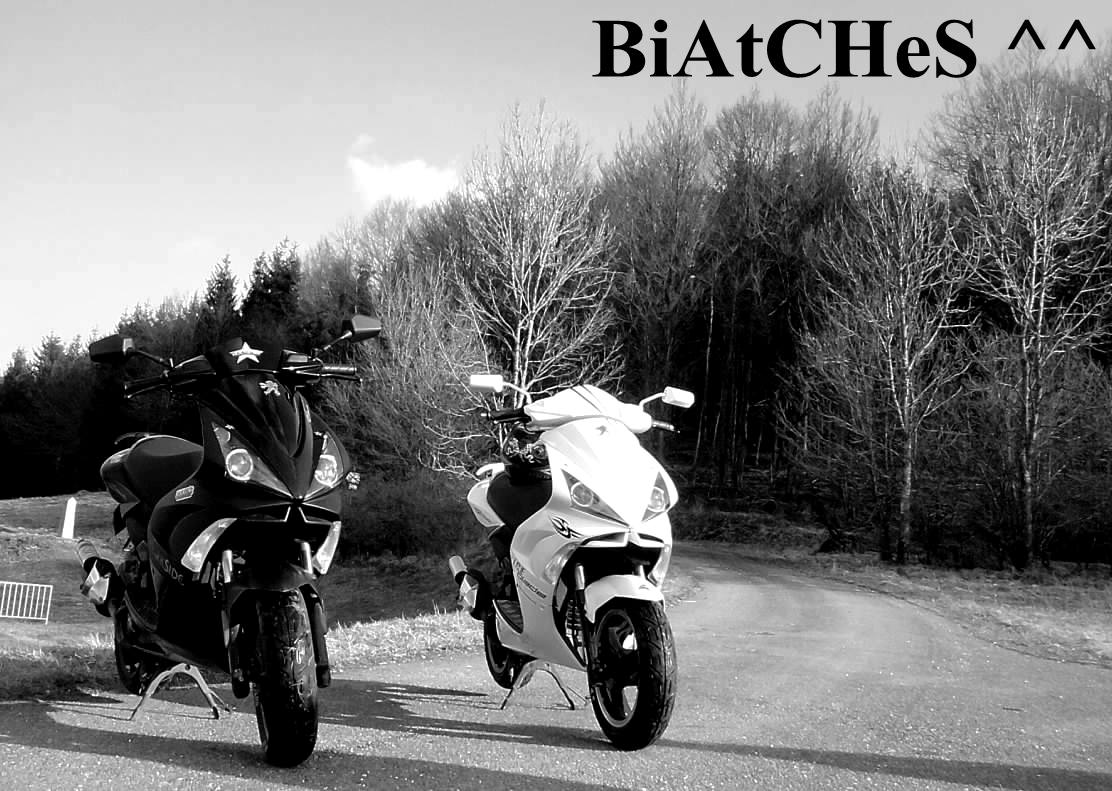 BiAtCheS *__*