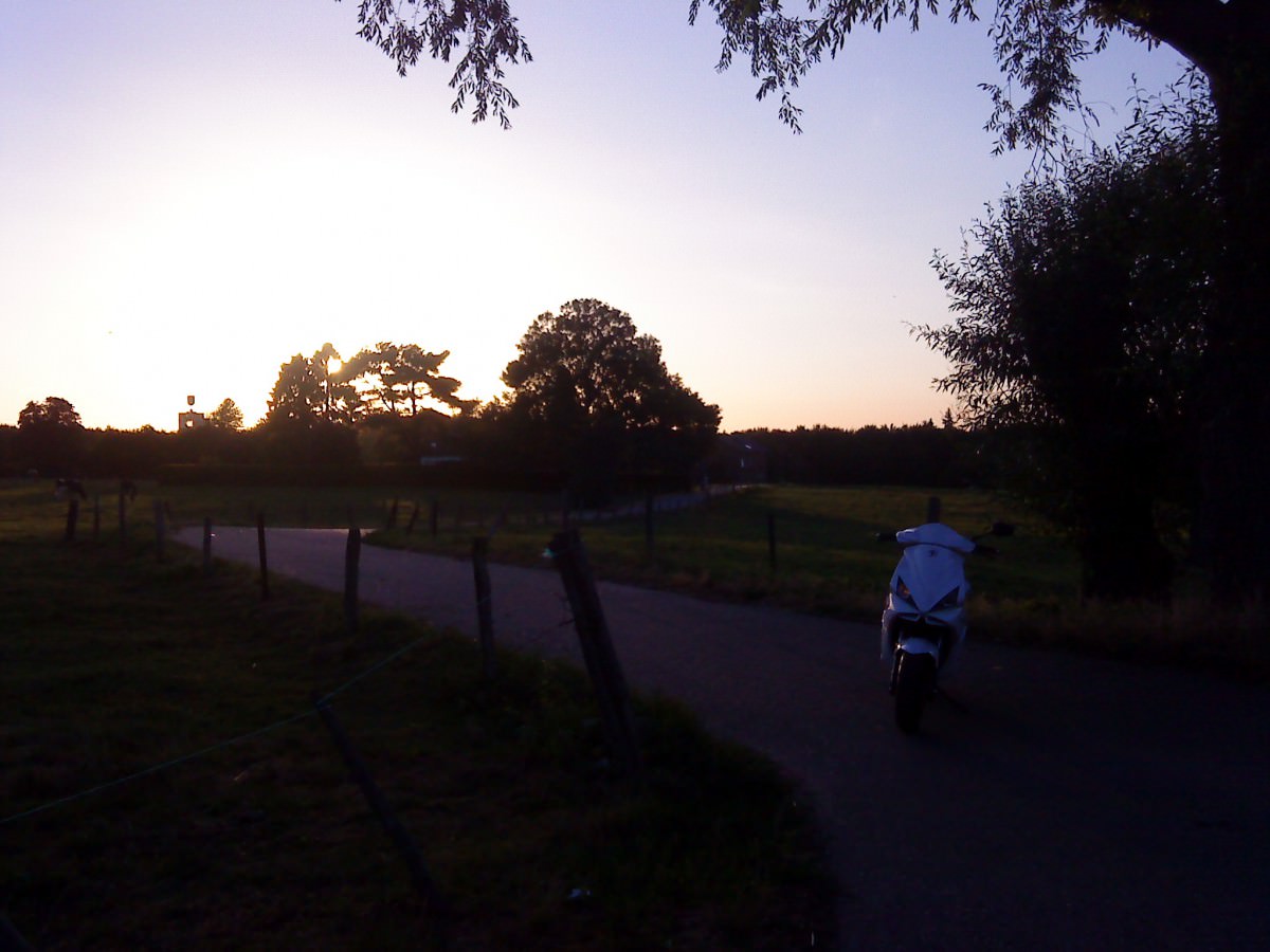 DSC00390