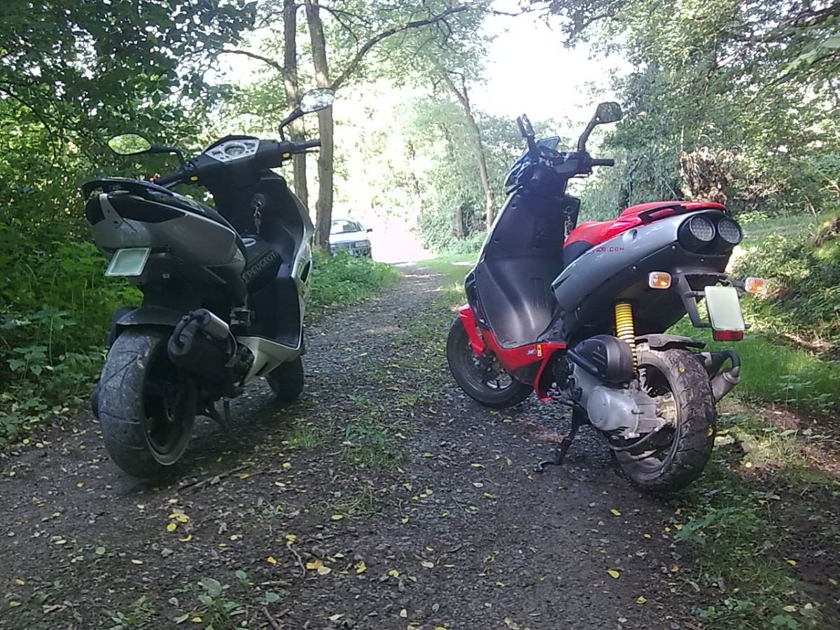 Wald foto =D