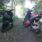 Wald foto =D