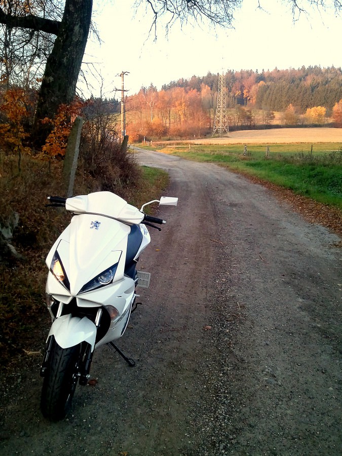 wald :)