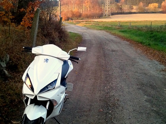 wald :)