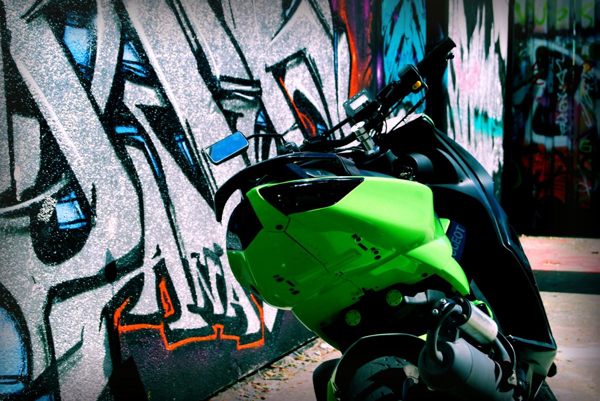 DSC_0029