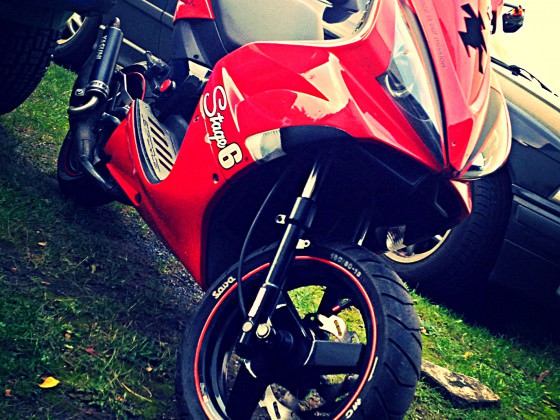 Black-Red Madness