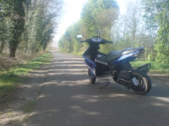 Frühling,Sommer,Sonnenschein xD