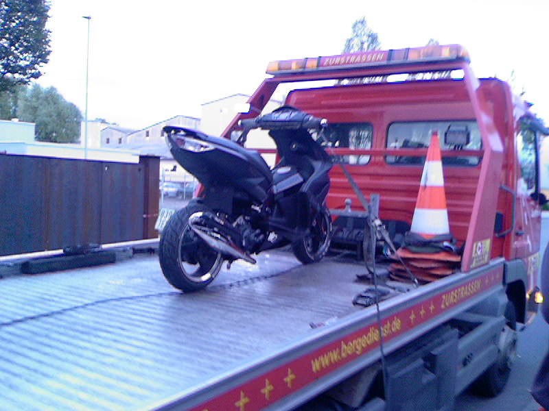 mein Beast :(