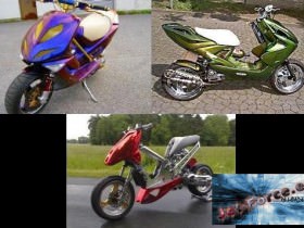 scoots.jpg