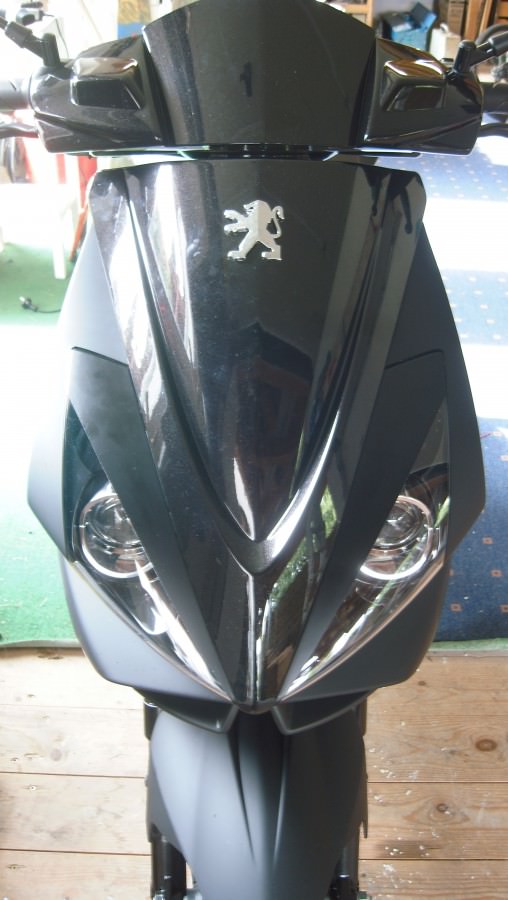DSCI0804