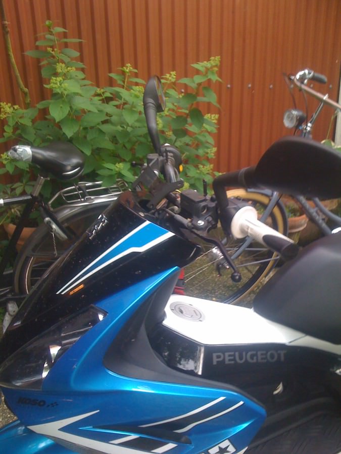 Joar xD
