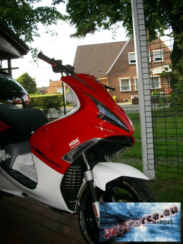 Neue Bilder ... was meint ihr steht der Downie so gut ?