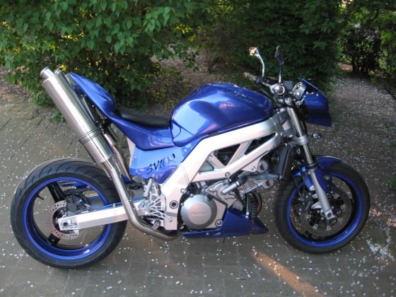 Suzuki SV1000