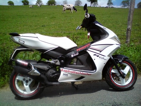 Der Scooter
