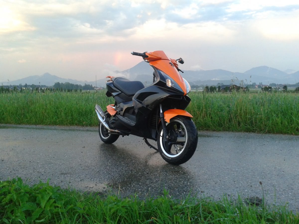 orangeblack jetts