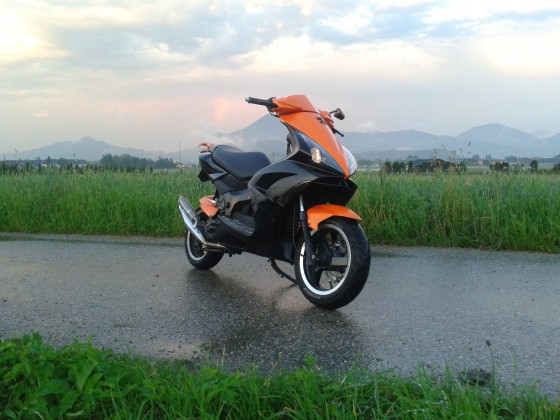 orangeblack jetts