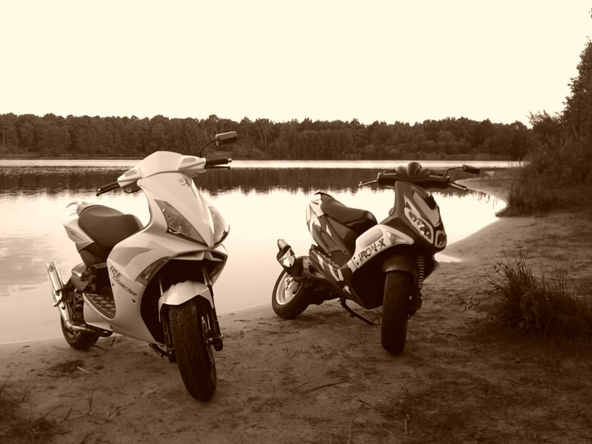 Jetty & Speedy @ See
