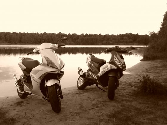 Jetty & Speedy @ See
