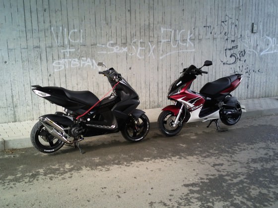 >> Black Vs. Red <<