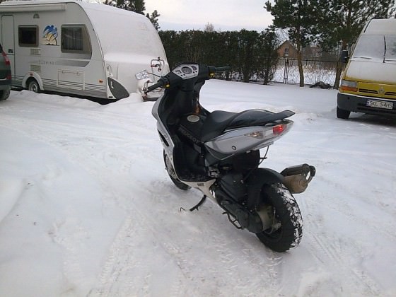 Zdjęcie0956