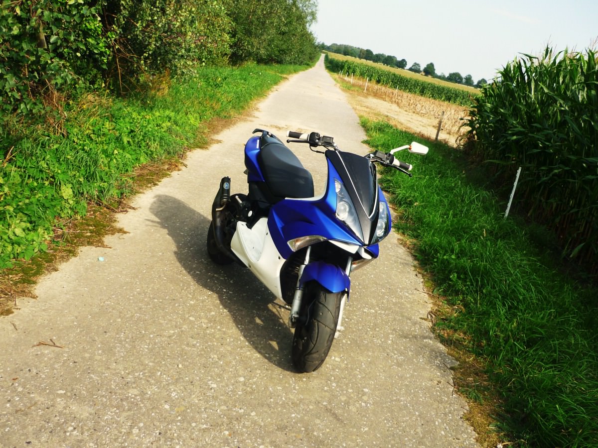 26.08.2011. paar bilder gemacht :)