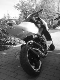 aktueller zustand cmt"s pls