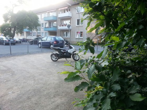 Mein Jetty ist weider fit