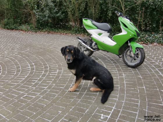 I ♥ My Rox <33