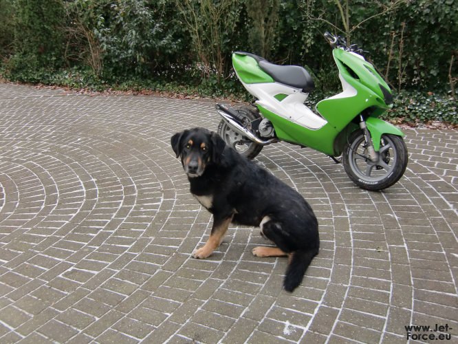 I ♥ My Rox <33