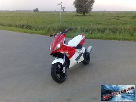 Scoot