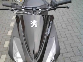 Downi