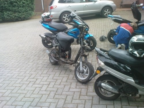 photo-19262-d9873969