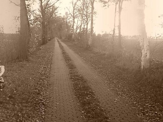 Herbst <3