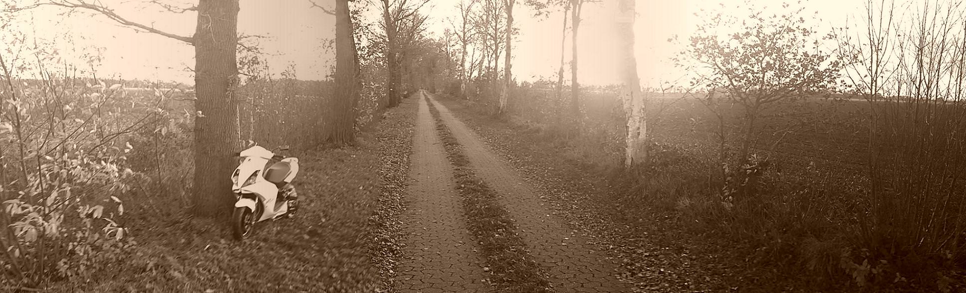 Herbst <3
