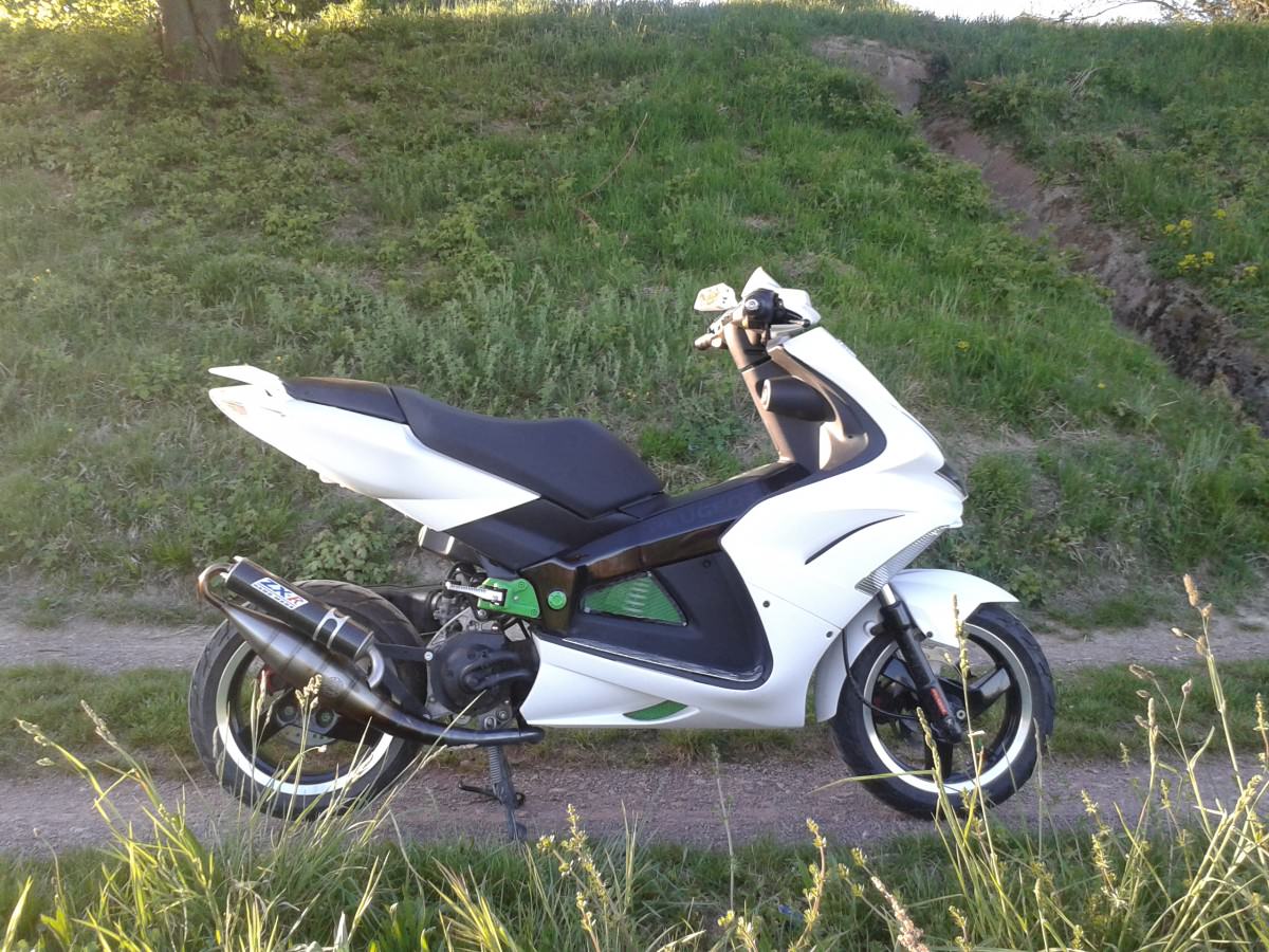 Bald wird sie ein jahr alt <3