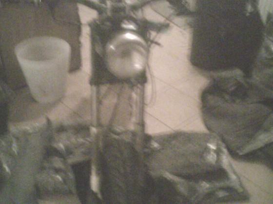 Mofler2 (2)