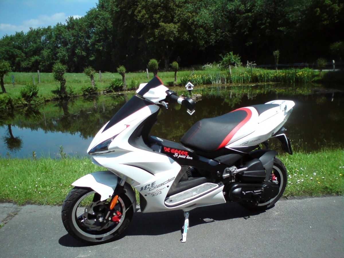The Scooter