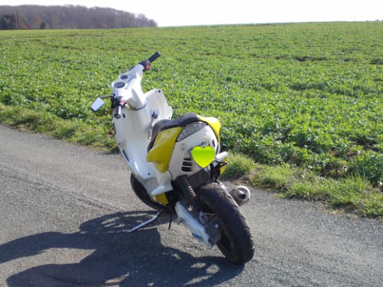 zauberrox.jpg