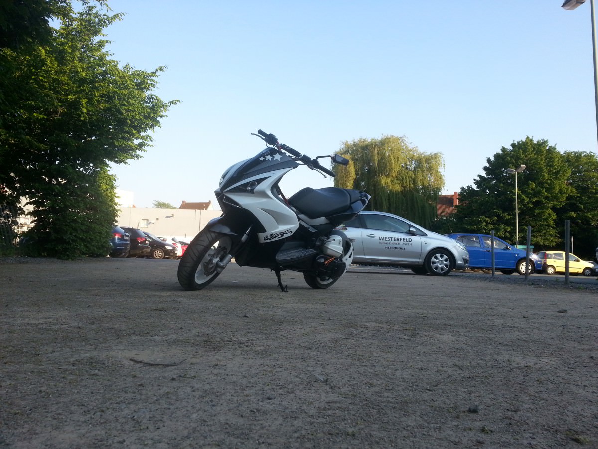 Mein Jetty ist weider fit